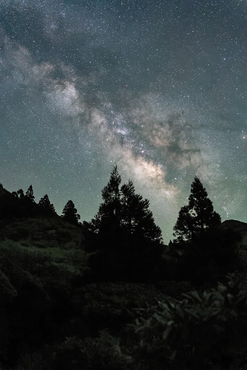 Milky Way Banquets