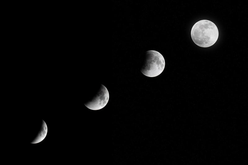 Moonlit Wedding